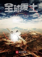 全球废土:避难所无限升级作者:斤斤斤