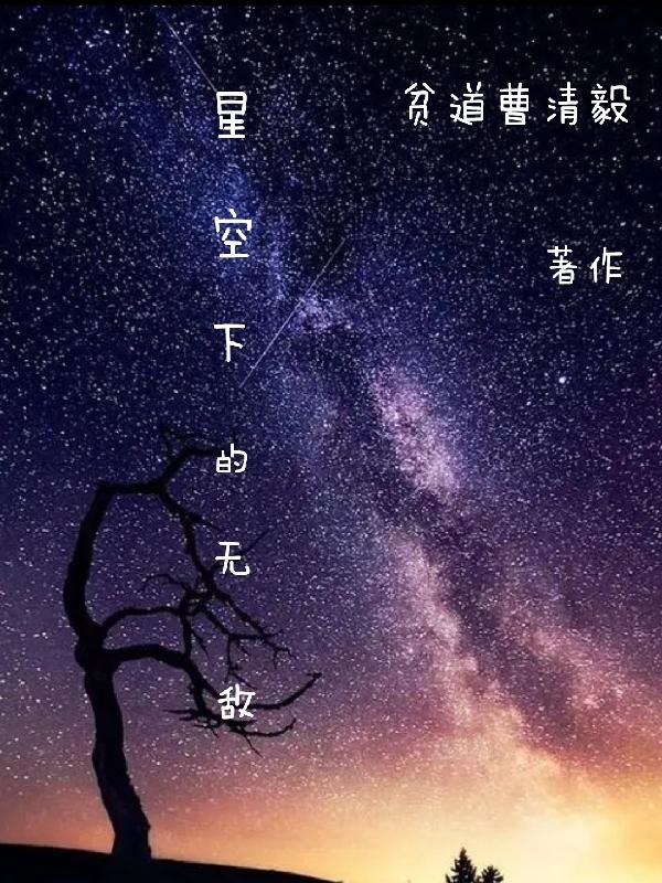 星空下的无敌