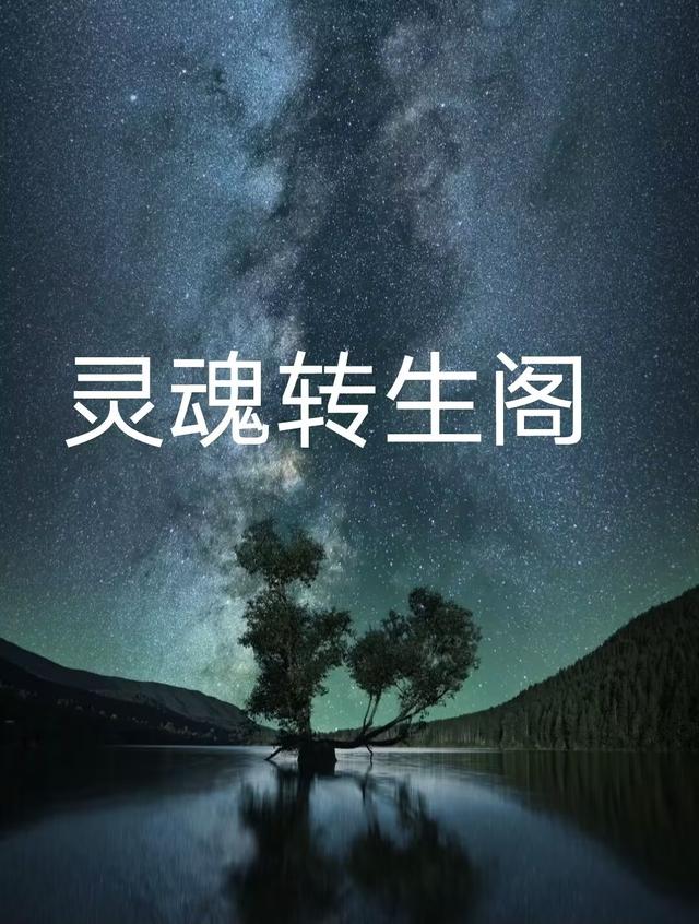 灵魂转生阁