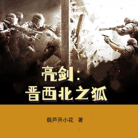 亮剑：晋西北之狐