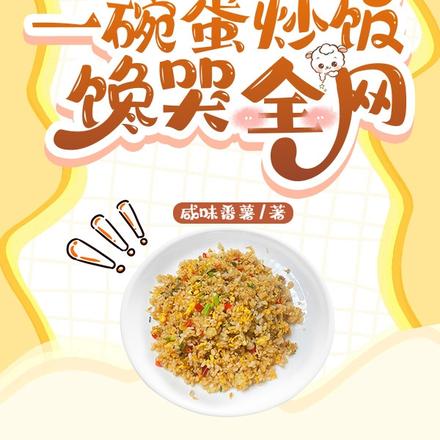 我美食主播，一碗蛋炒饭馋哭全网