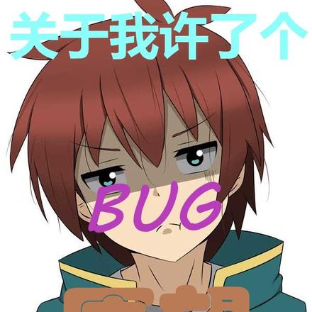 关于我许了个BUG愿望