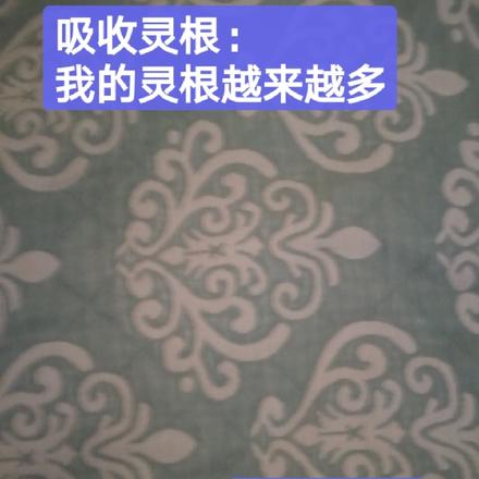 吸收灵根：我的灵根越来越多