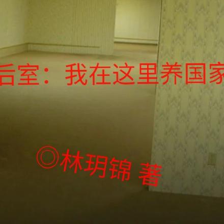 后室：我在这里养国家