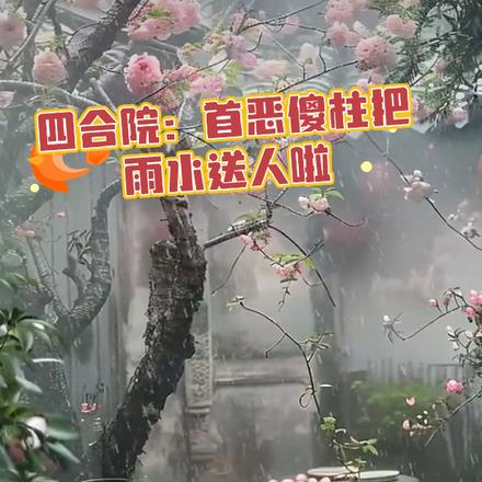 四合院：首恶傻柱把雨水送人啦