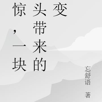 震惊，一块石头带来的改变