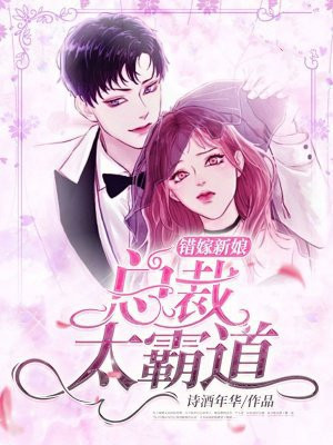 错嫁新娘：总裁太霸道