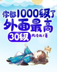 你都1000级了外面最高30级划分