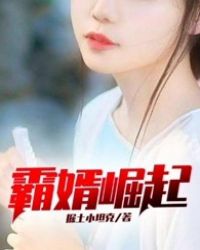 上门女婿叶辰